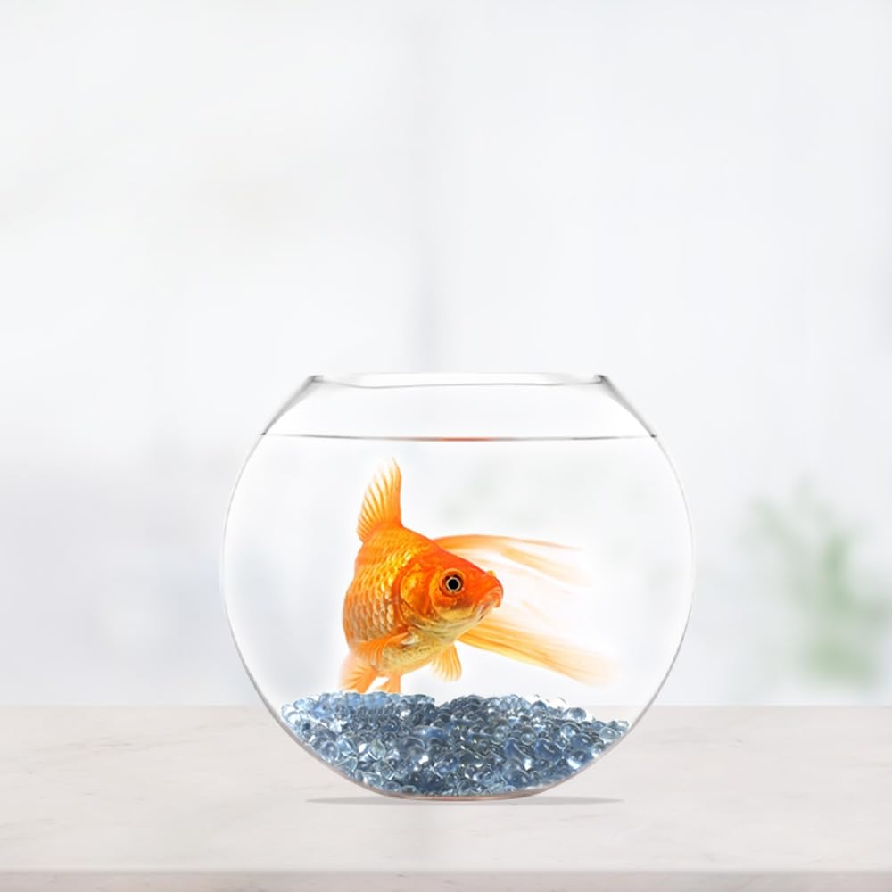 Amazon.co.jp: VYNYJOAN ガラス小石 ミニサイズ ガラスストーン 1